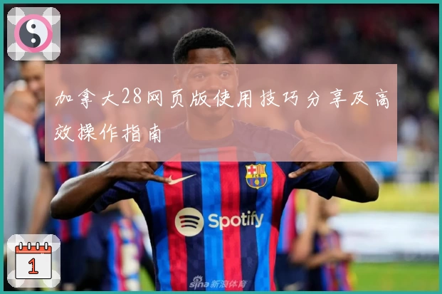 加拿大28网页版使用技巧分享及高效操作指南