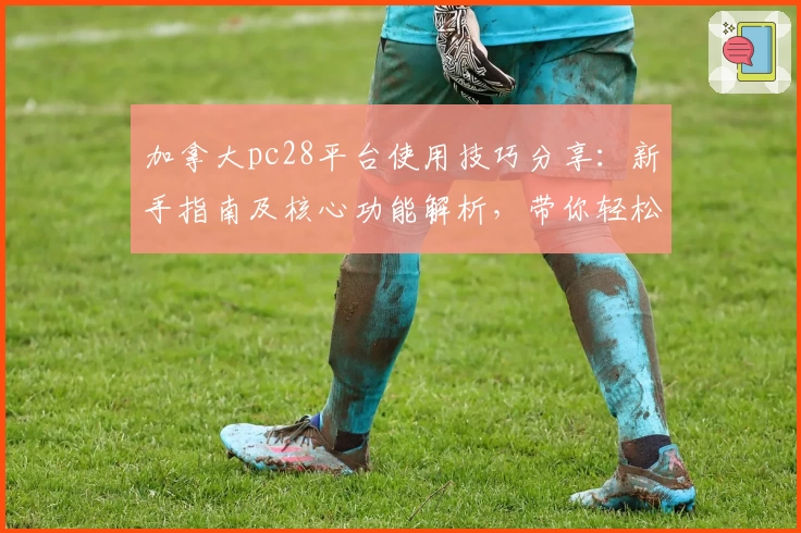加拿大pc28平台使用技巧分享：新手指南及核心功能解析，带你轻松上手畅享便捷体验