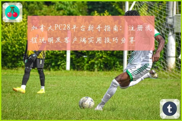 加拿大PC28平台新手指南:注册流程说明及客户端实用技巧分享