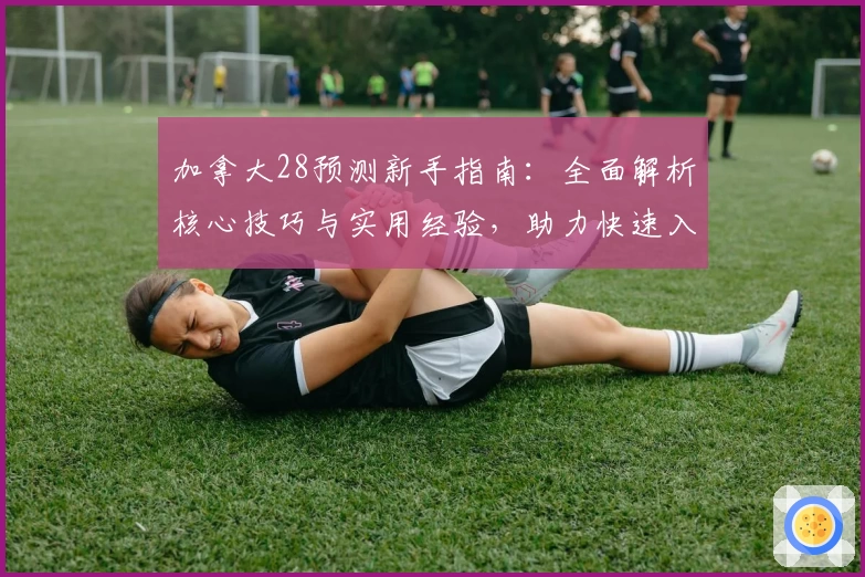 加拿大28预测新手指南：全面解析核心技巧与实用经验，助力快速入门
