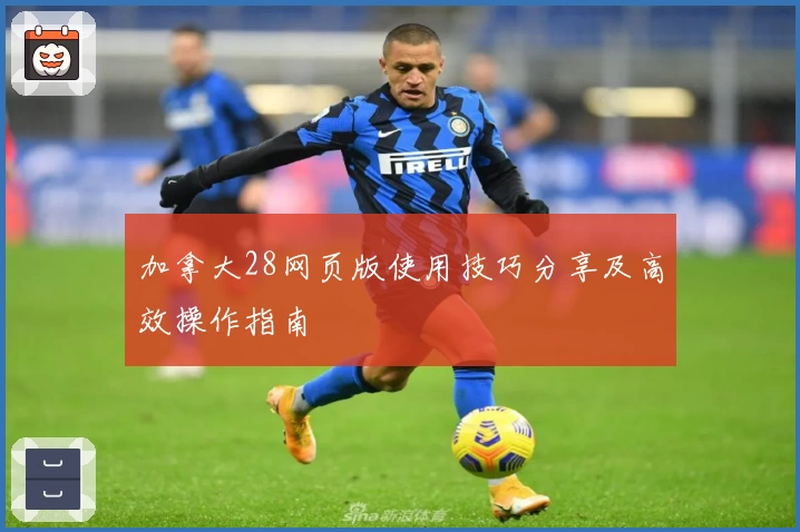 加拿大28网页版使用技巧分享及高效操作指南