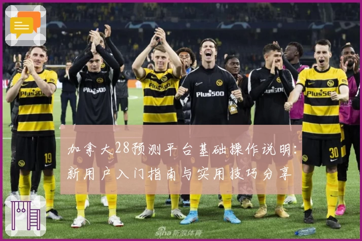 加拿大28预测平台基础操作说明:新用户入门指南与实用技巧分享