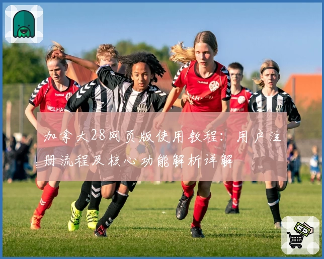 加拿大28网页版使用教程：用户注册流程及核心功能解析详解
