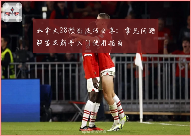 加拿大28预测技巧分享：常见问题解答及新手入门使用指南