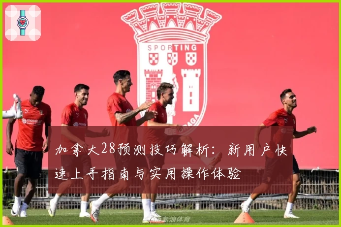 加拿大28预测技巧解析:新用户快速上手指南与实用操作体验