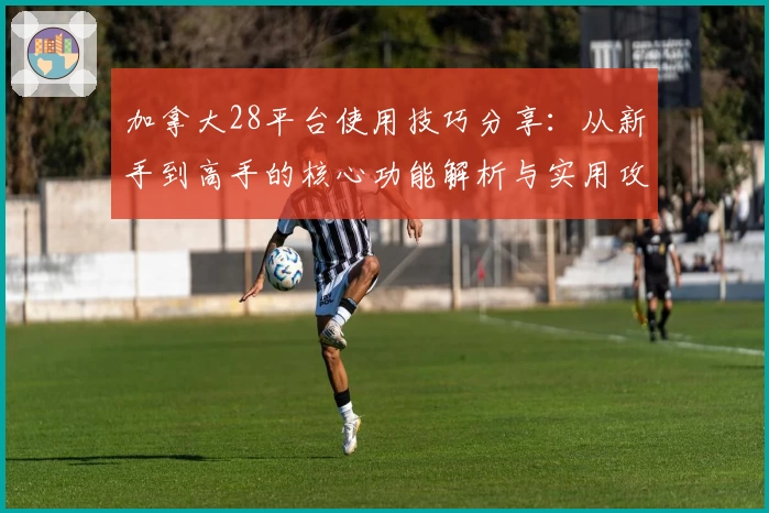 加拿大28平台使用技巧分享：从新手到高手的核心功能解析与实用攻略