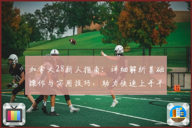 加拿大28新人指南：详细解析基础操作与实用技巧，助力快速上手平台全功能