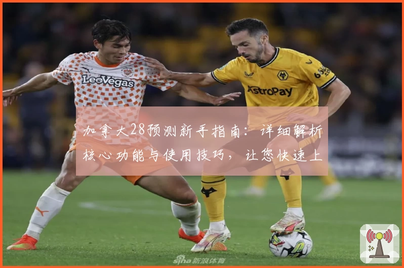 加拿大28预测新手指南：详细解析核心功能与使用技巧，让您快速上手