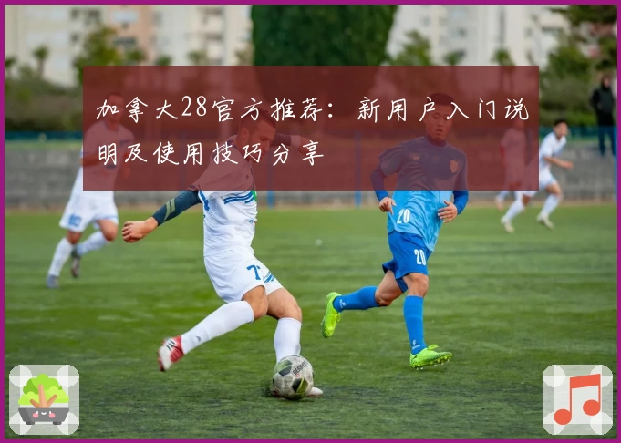 加拿大28官方推荐：新用户入门说明及使用技巧分享