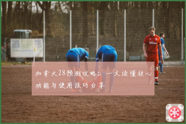 加拿大28预测攻略：一文读懂核心功能与使用技巧分享