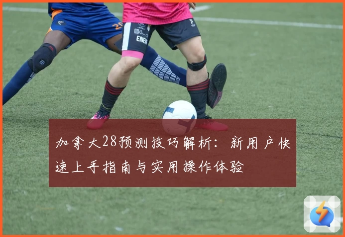 加拿大28预测技巧解析：新用户快速上手指南与实用操作体验