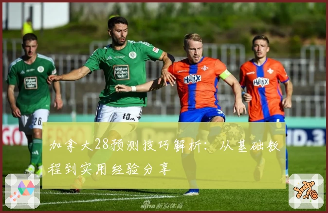 加拿大28预测技巧解析：从基础教程到实用经验分享