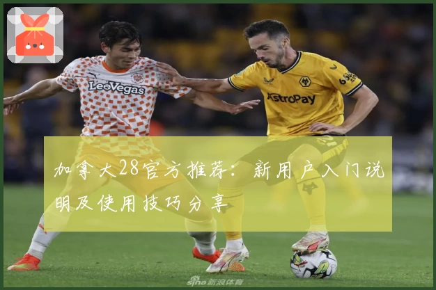 加拿大28官方推荐：新用户入门说明及使用技巧分享