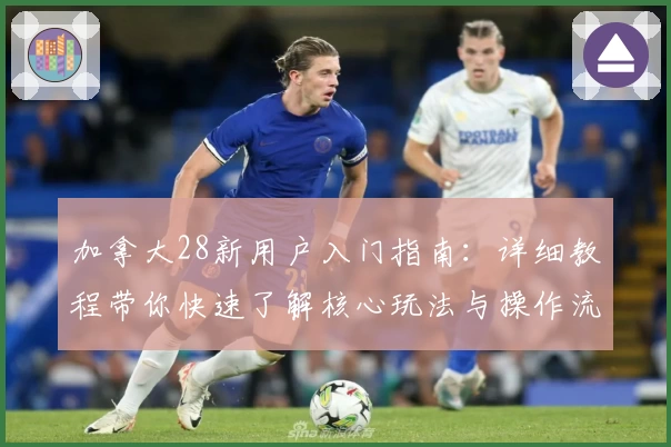 加拿大28新用户入门指南：详细教程带你快速了解核心玩法与操作流程